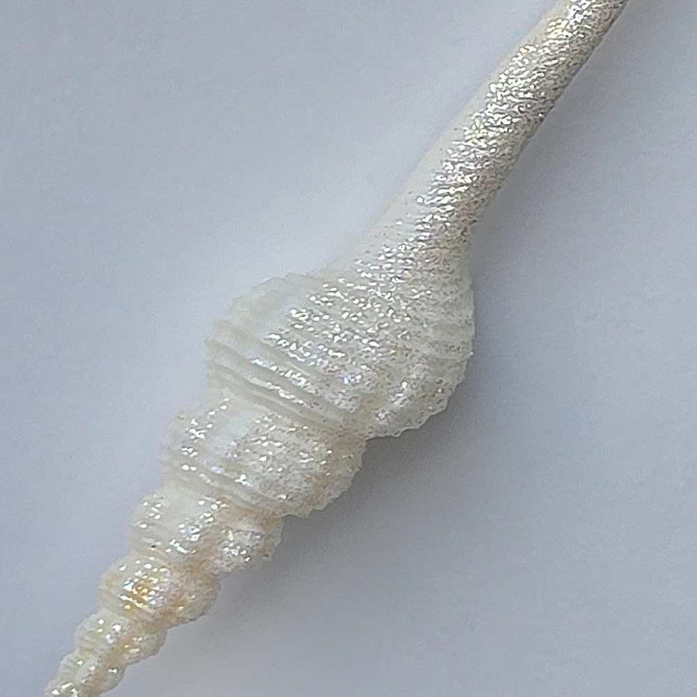 VTG 90s Shimmering Spindle Seashell Ornament White Iridescent Glitter Coastal